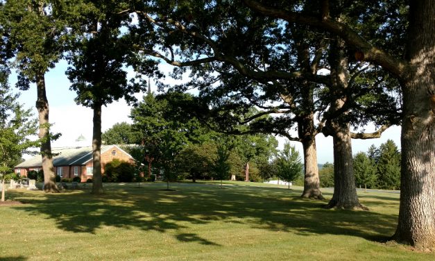 Worship In the Grove