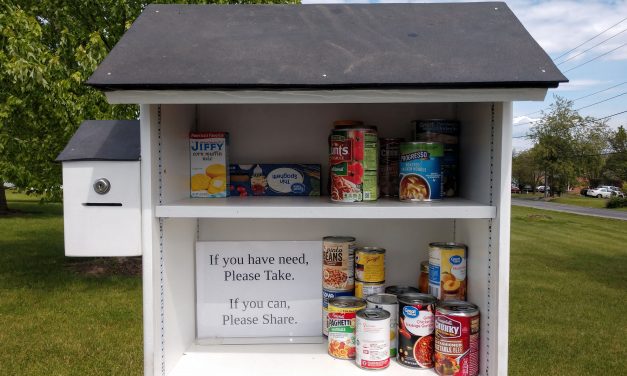 Mini Free Pantry